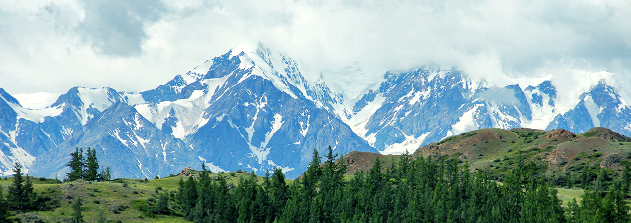 Арктик Тракс Клуб